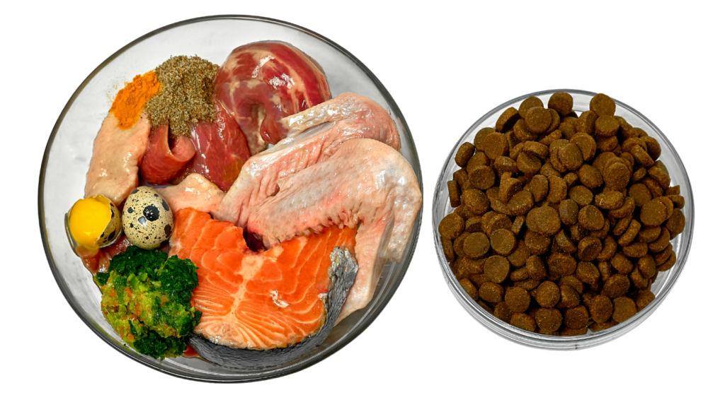 pienso vs comida natural