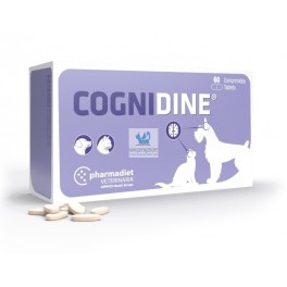 Cognidine suplementación alzheimer
